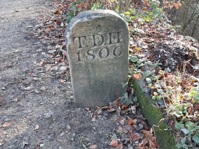 Boundary Stone in Elnup Wood near Mill Dam Cottages